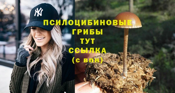 гидропоника Горнозаводск