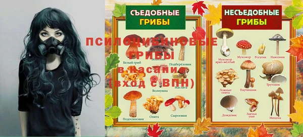 гидропоника Горнозаводск