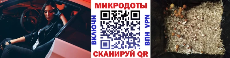 Купить где  Карпинск  Галлюциногенные грибы Cubensis 